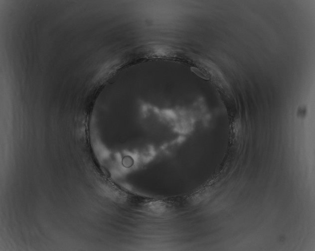 X0000089760423200707121407