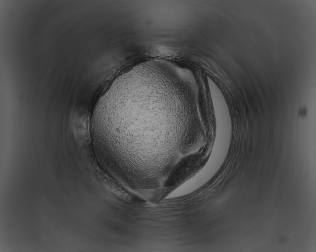 X0000089760425200707121407