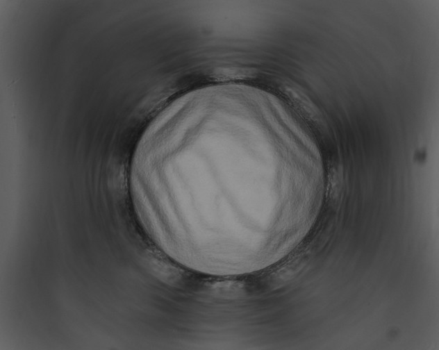 X0000089760426200707121407