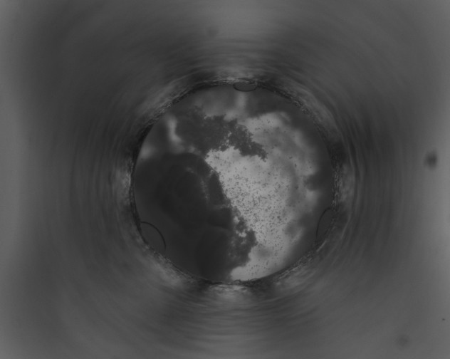 X0000089760427200707121407