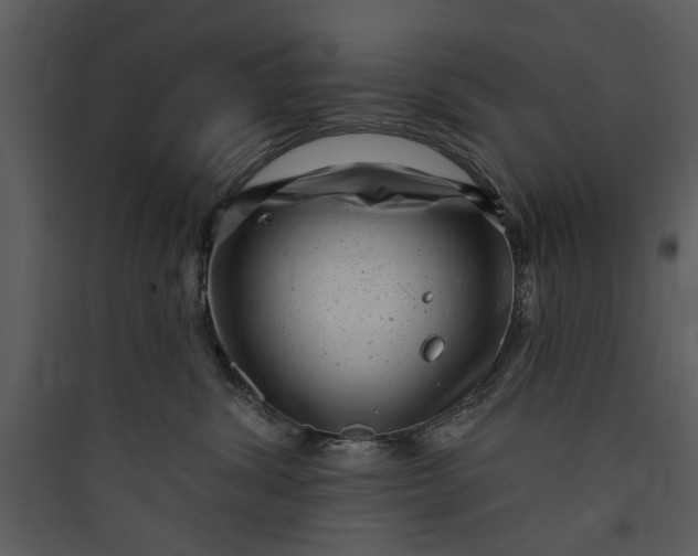 X0000089760428200707121407