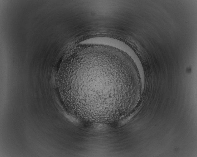 X0000089760429200707121407