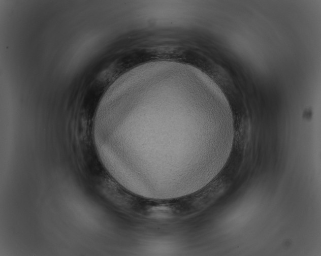 X0000089760430200707121407