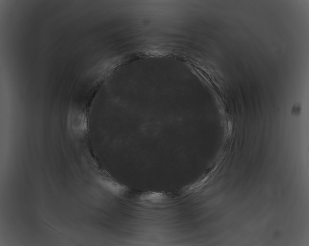 X0000089760431200707121407