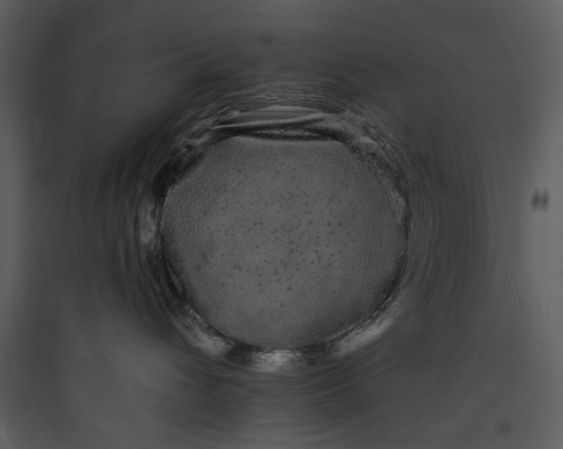 X0000089760432200707121407