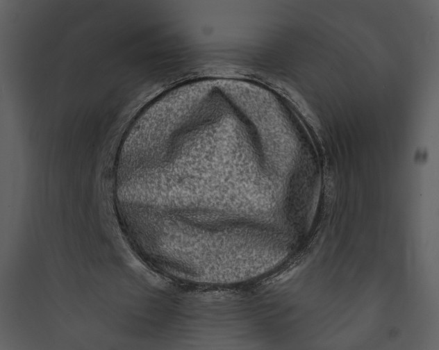 X0000089760433200707121407