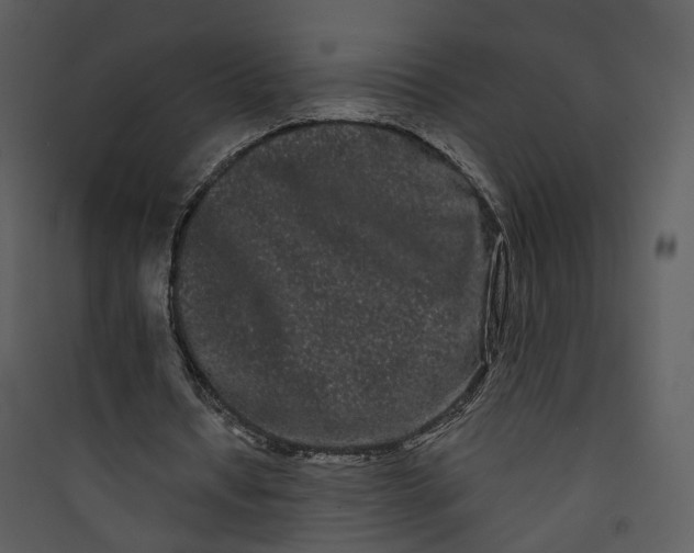 X0000089760434200707121407