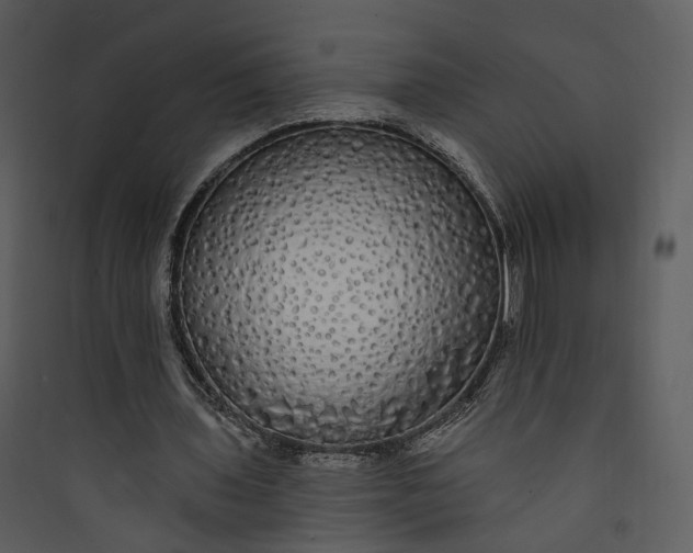 X0000089760435200707121407