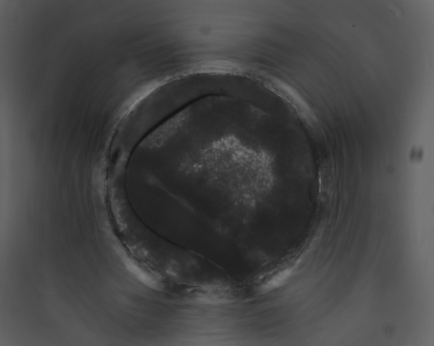 X0000089760436200707121407