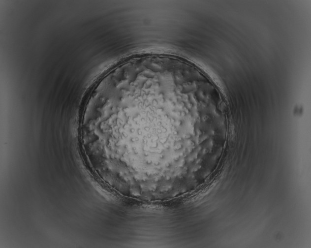 X0000089760437200707121407