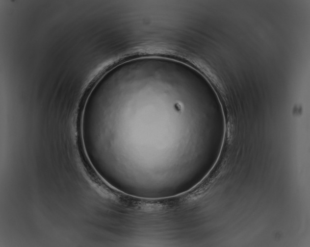 X0000089760438200707121407