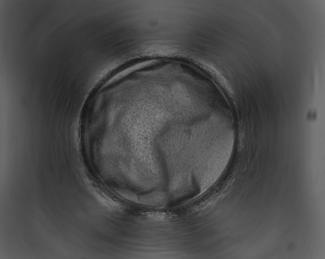 X0000089760439200707121407