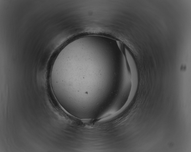 X0000089760440200707121407