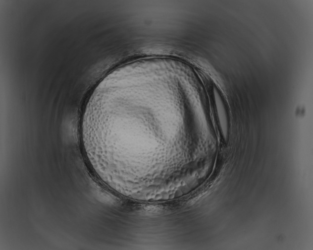 X0000089760441200707121407