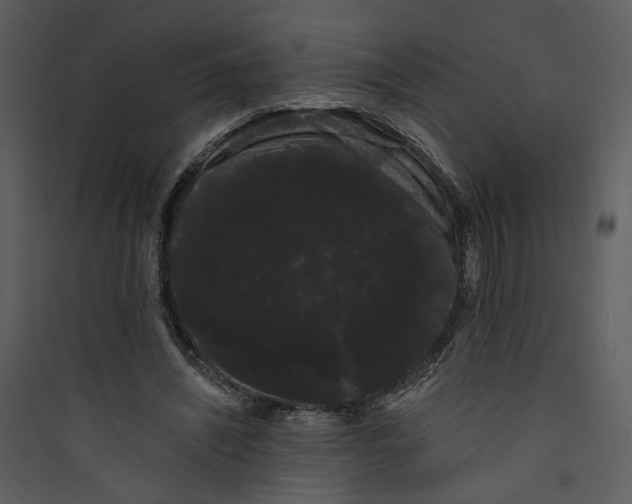 X0000089760444200707121407