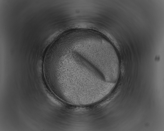 X0000089760445200707121407