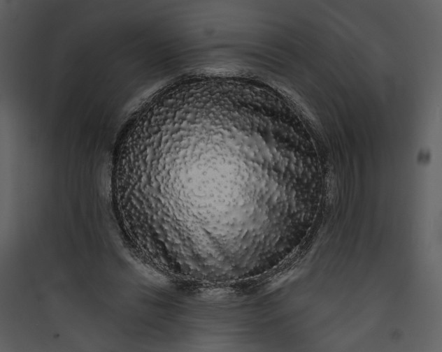 X0000089760446200707121407