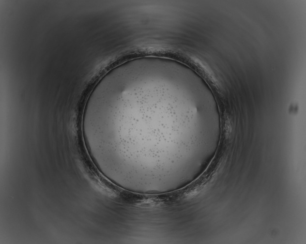 X0000089760447200707121407