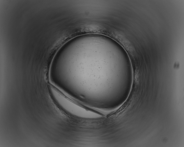 X0000089760449200707121407