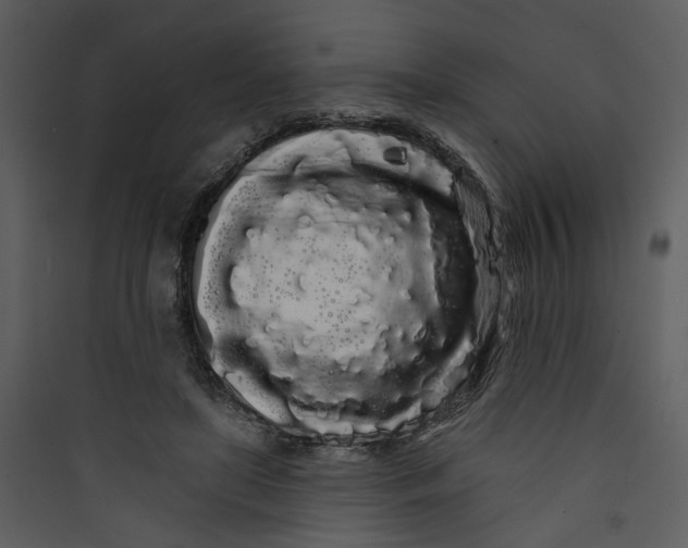 X0000089760451200707121407