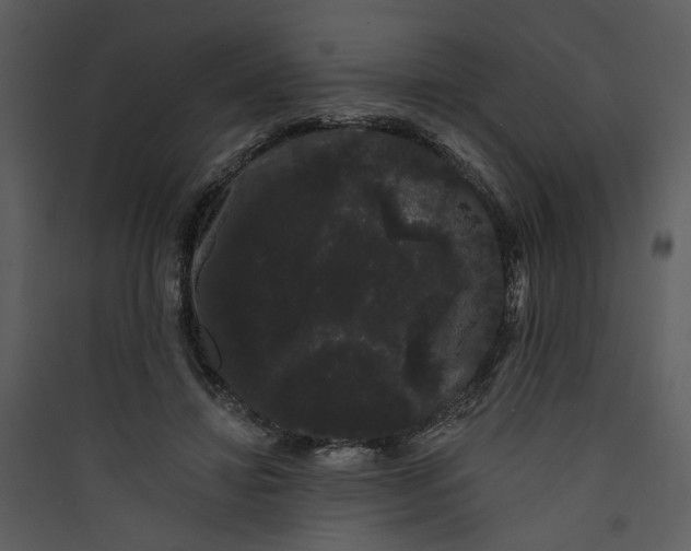 X0000089760452200707121407