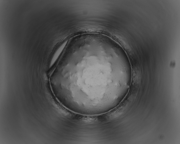 X0000089760453200707121407