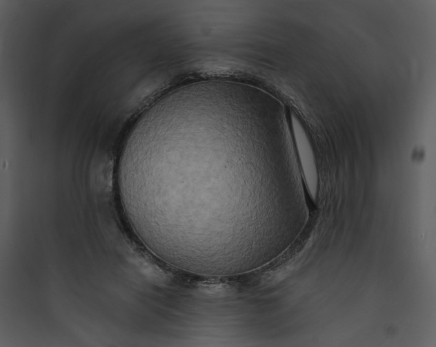 X0000089760454200707121407