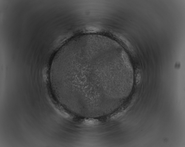 X0000089760455200707121407