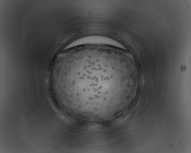 X0000089760456200707121407