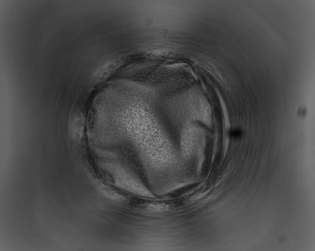 X0000089760458200707121407