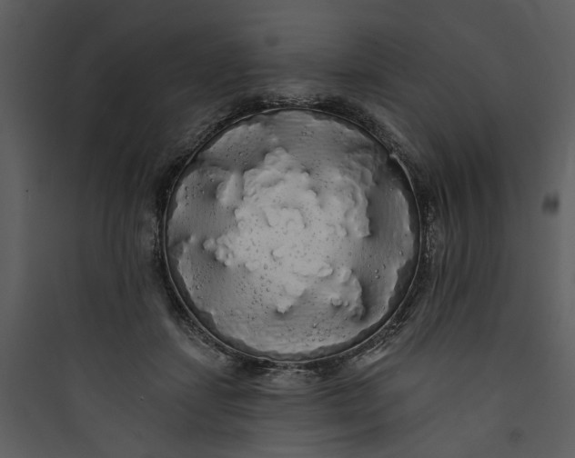 X0000089760459200707121407