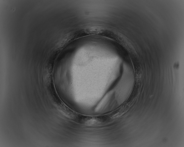 X0000089760460200707121407