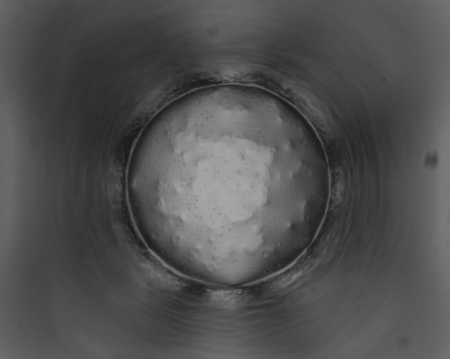 X0000089760461200707121407