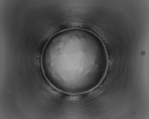 X0000089760462200707121407