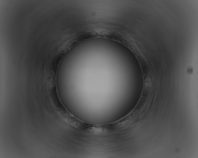 X0000089760464200707121407