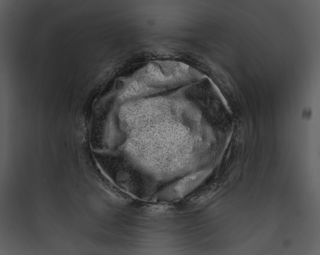 X0000089760465200707121407