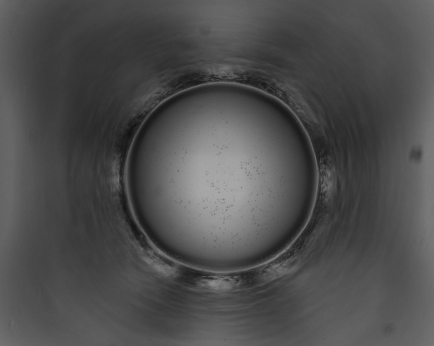 X0000089760466200707121407