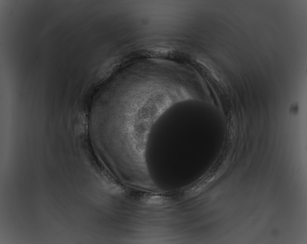 X0000089760467200707121407