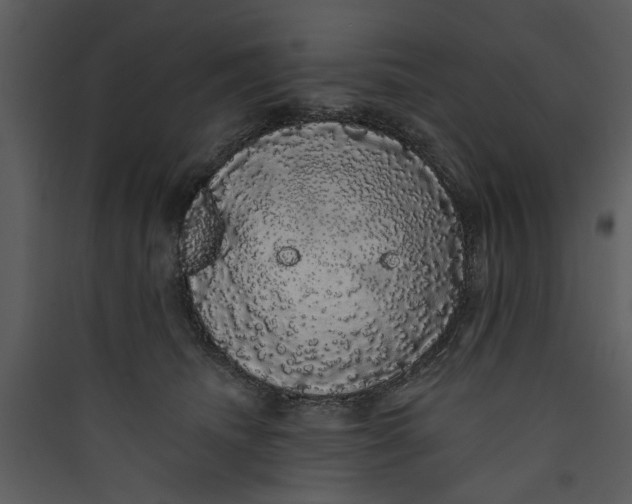 X0000089760468200707121407