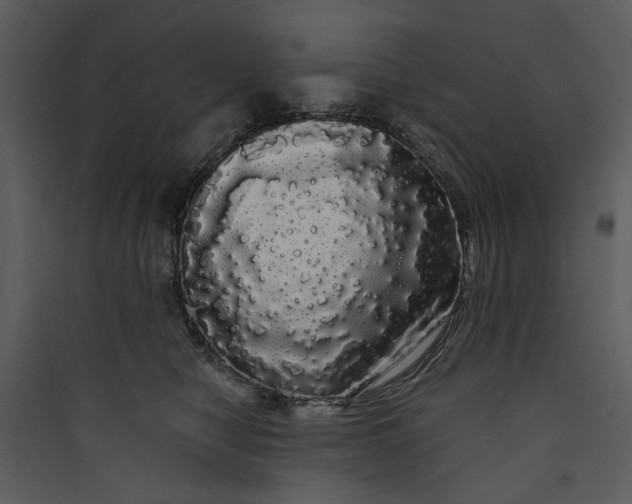 X0000089760470200707121407