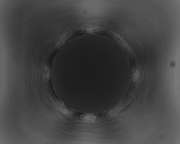 X0000089760471200707121407