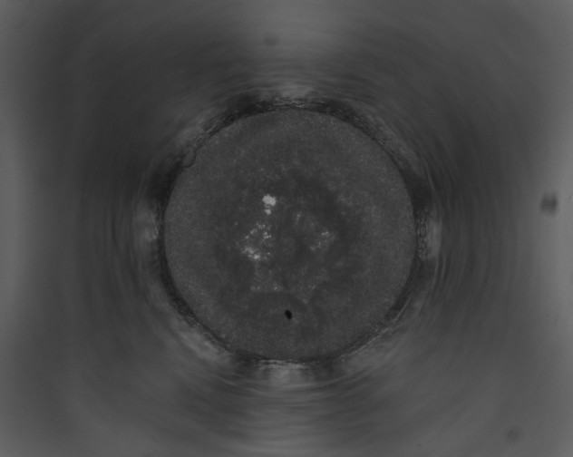 X0000089760472200707121407