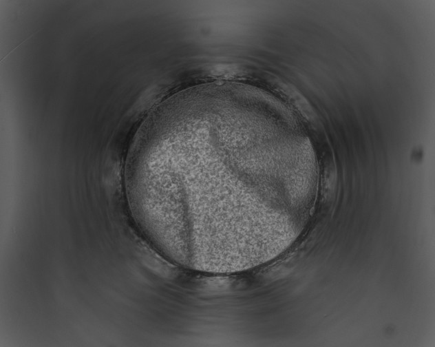 X0000089760473200707121407