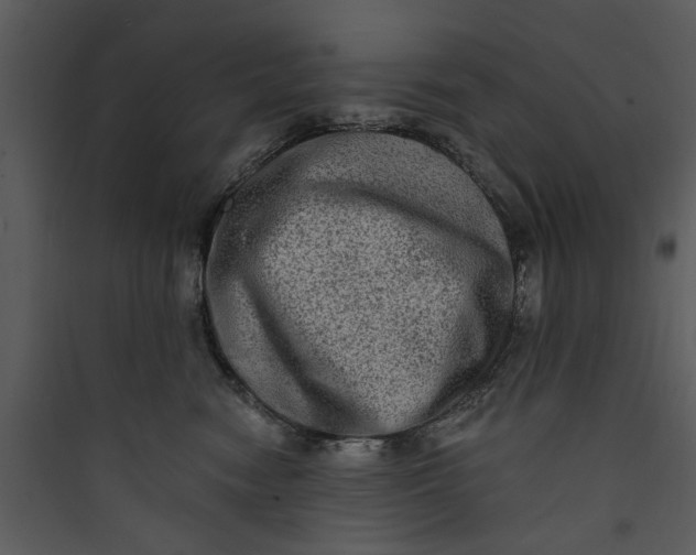 X0000089760474200707121407