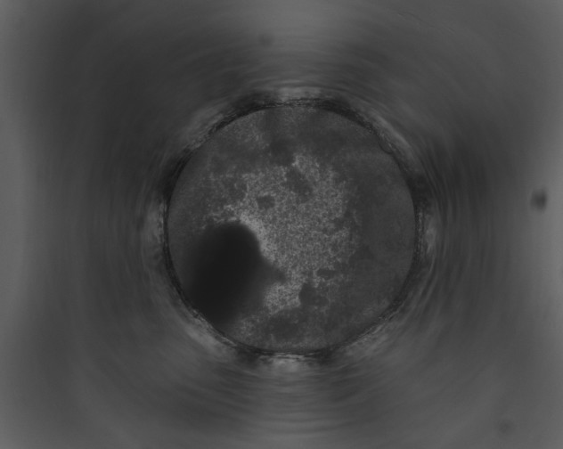 X0000089760475200707121407