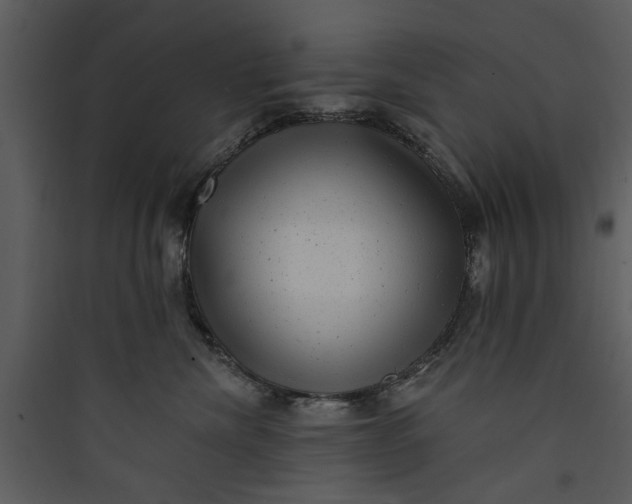 X0000089760476200707121407