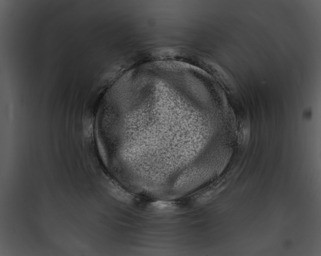 X0000089760477200707121407