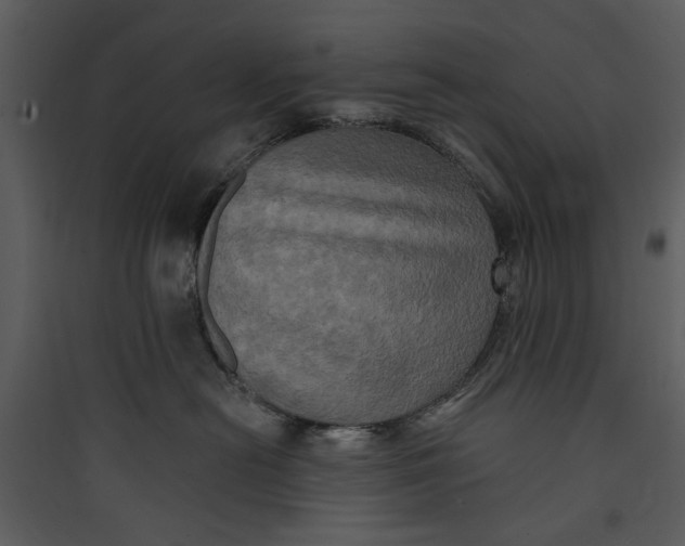 X0000089760478200707121407