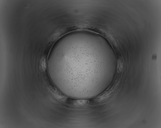 X0000089760479200707121407