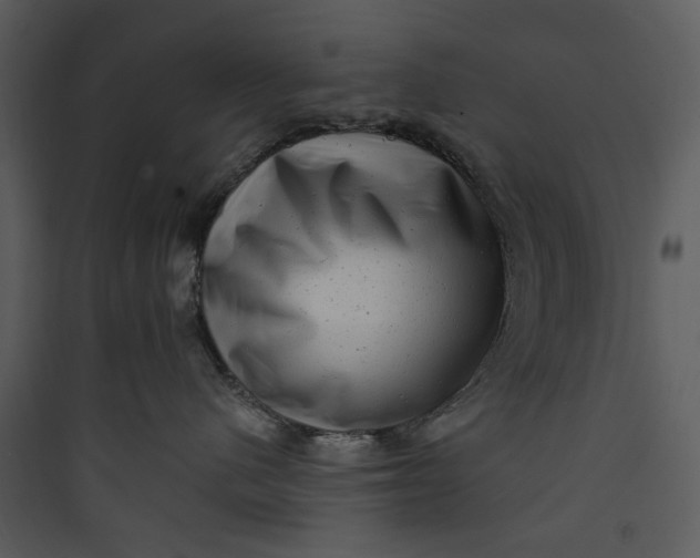 X0000089760480200707121407